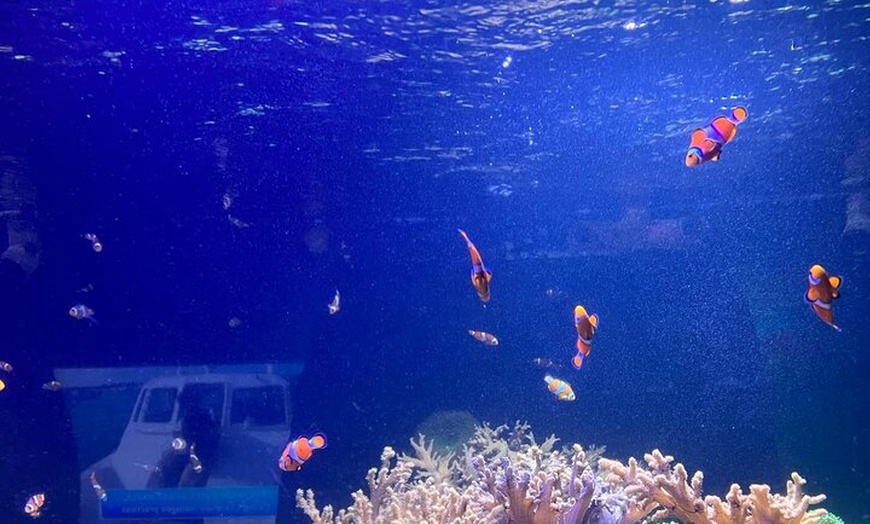 Image 25: Luxury Private Tour in London