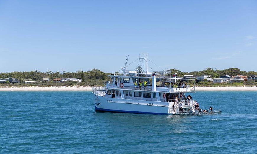 Image 6: All Inclusive Jervis Bay Day Tour Dolphin Cruise, Lunch &Blowhole