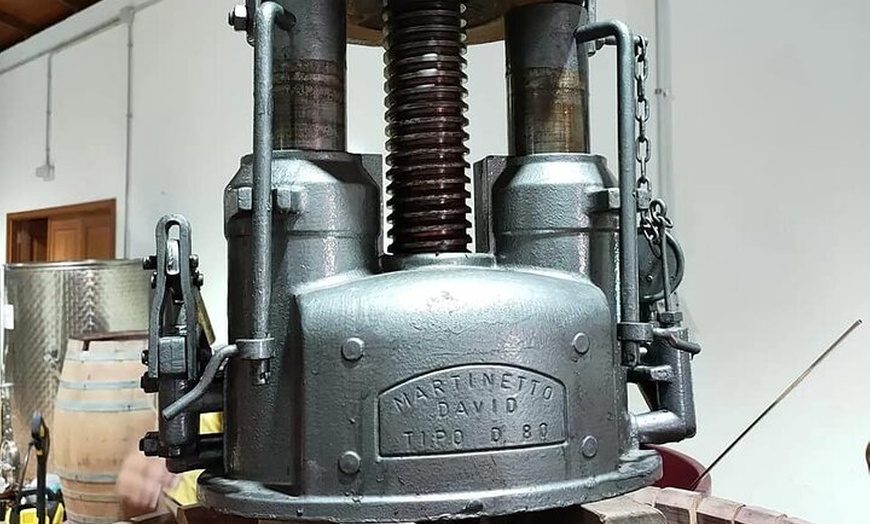 Image 11: Visita a la Bodega, Museo del Vino y Cata en Gran Canaria