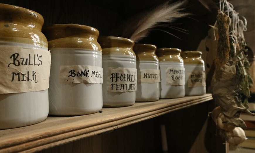 Image 7: Admission Ticket to Sick To Death in Chester