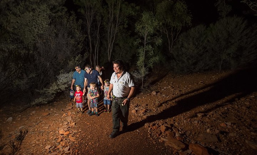 Image 1: Alice Springs Desert Park Nocturnal Tour