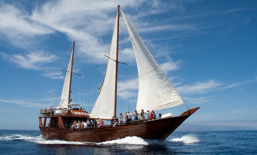 Image 2: Safari de ballenas hasta Los Gigantes con recogida desde Norte