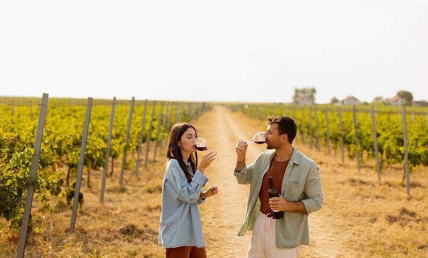 Image 1: Desde Cádiz, visita a la bodega Chiclana de la Frontera con almuerzo