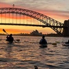 Image 1: Sydney Harbour Serenity Sunrise Tour