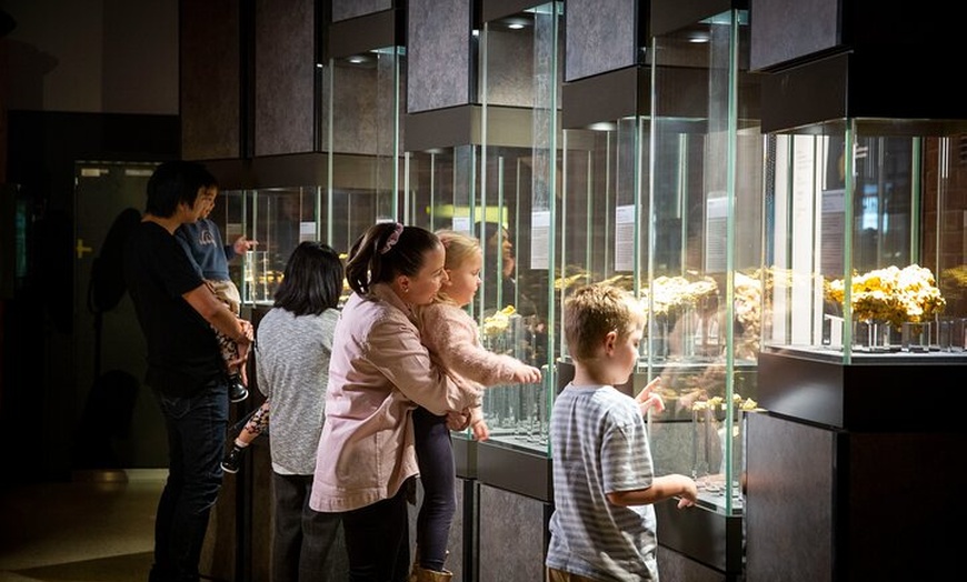 Image 6: The Perth Mint Gold Tour