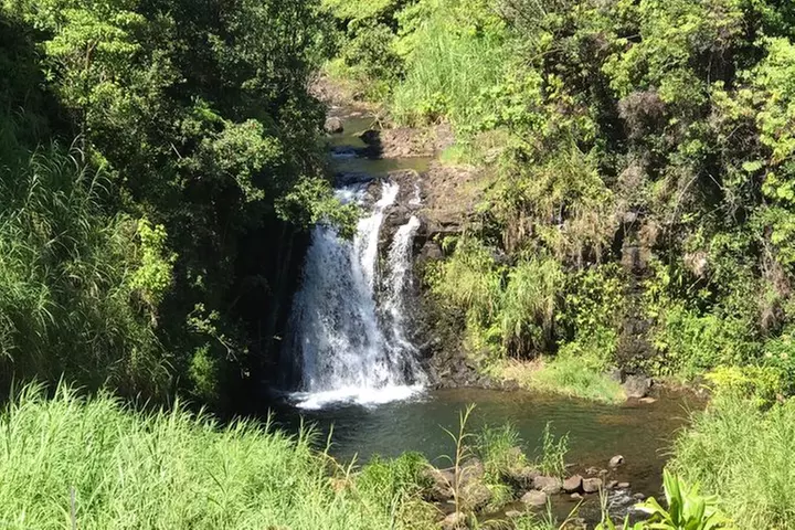 Volcano, Chocolate and Waterfalls of the Big Island
