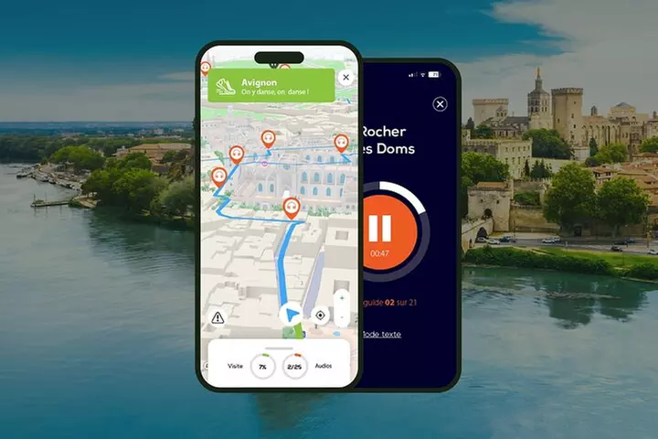 Avignon Visite audioguidée à pied 2h10 et 27 commentaires audios - Primary Image