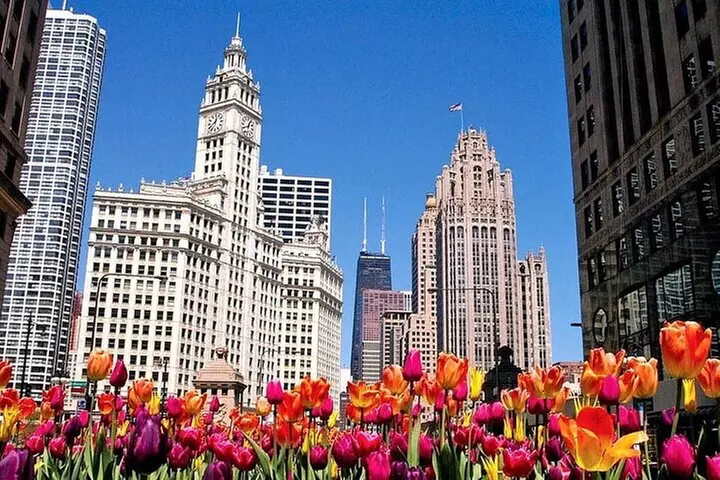 Private City Tour 6-10ppl