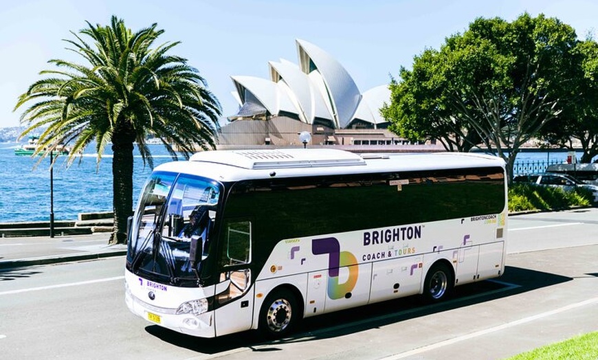 Image 4: Sydney Airport Transfer to CBD with Lunch, The Rocks & Bondi Tour