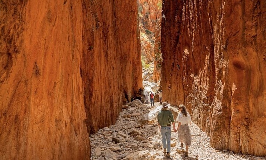 Image 12: 3-Day Kings Canyon & West MacDonnell Ranges 4WD Camping Tour