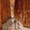 Image 12: 3-Day Kings Canyon & West MacDonnell Ranges 4WD Camping Tour