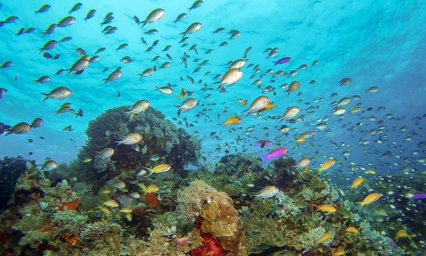 Image 25: ✈ PHILIPPINES | Manille - Combiné Manille - Panglao, 7 nuit - Combiné