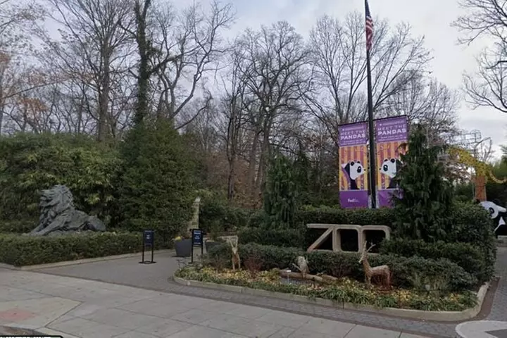 National Zoo Self Guided Scavenger Hunt