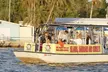 Anna Maria Island Dolphin Sightseeing Adventure - Second Medium