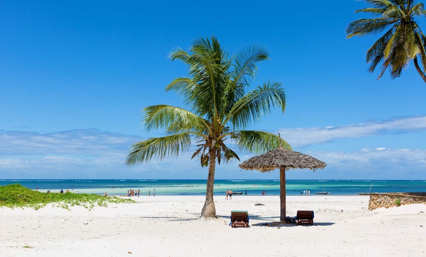 Image 9: ✈ TANZANIE | Du Kilimanjaro à Nairobi - Des hauteurs du Kilimandjar...