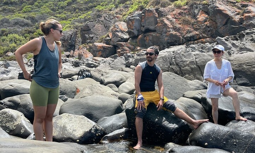 Image 8: Deep Creek Hike: Trails and Tales with a Foreign Flair