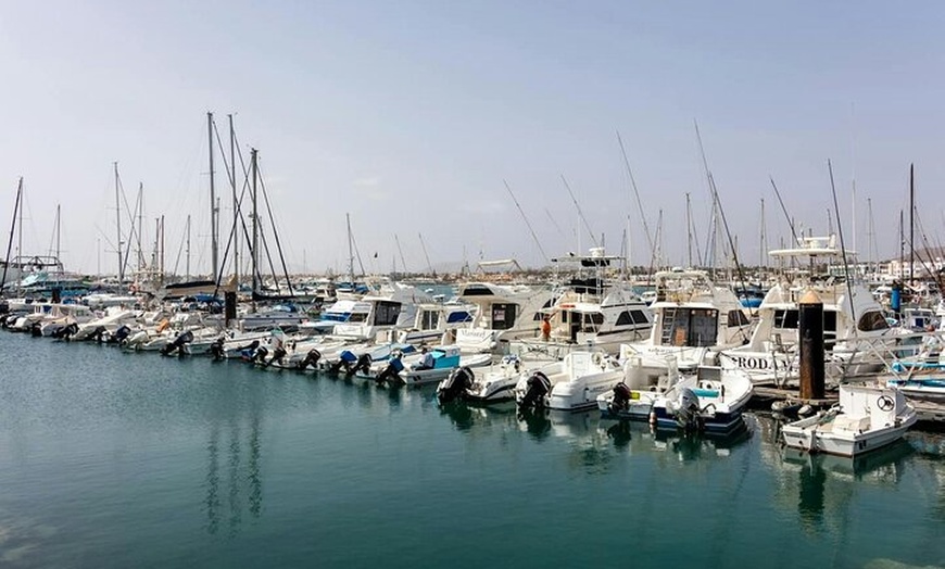 Image 2: Servicio de Autobús Corralejo Express - Desde Caleta