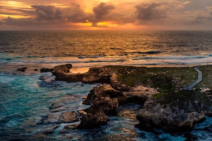 Rottnest Island Seals Sunset and West End Bus Tour - Primary Image