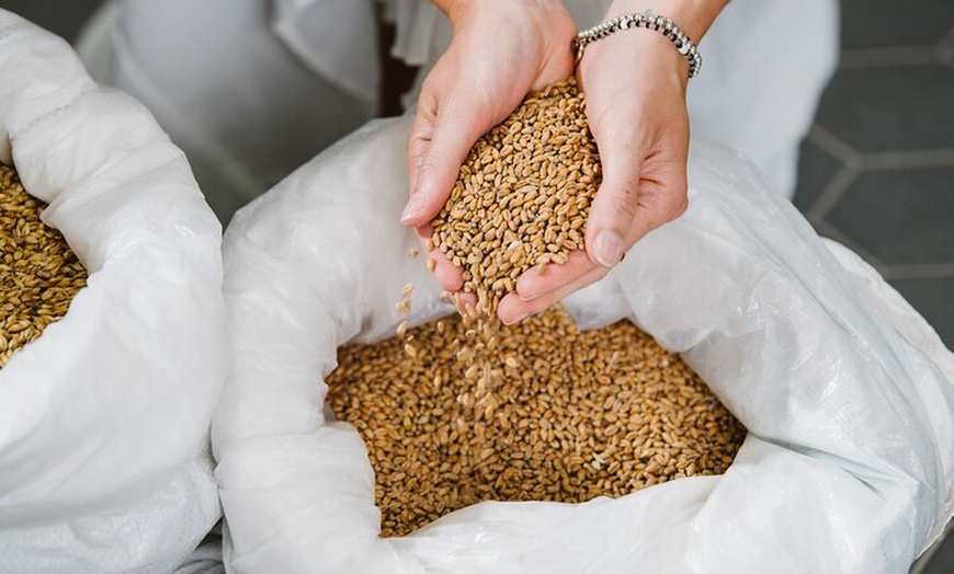 Image 4: Führung und Bierprobe mitten in der Haderner Brauerei