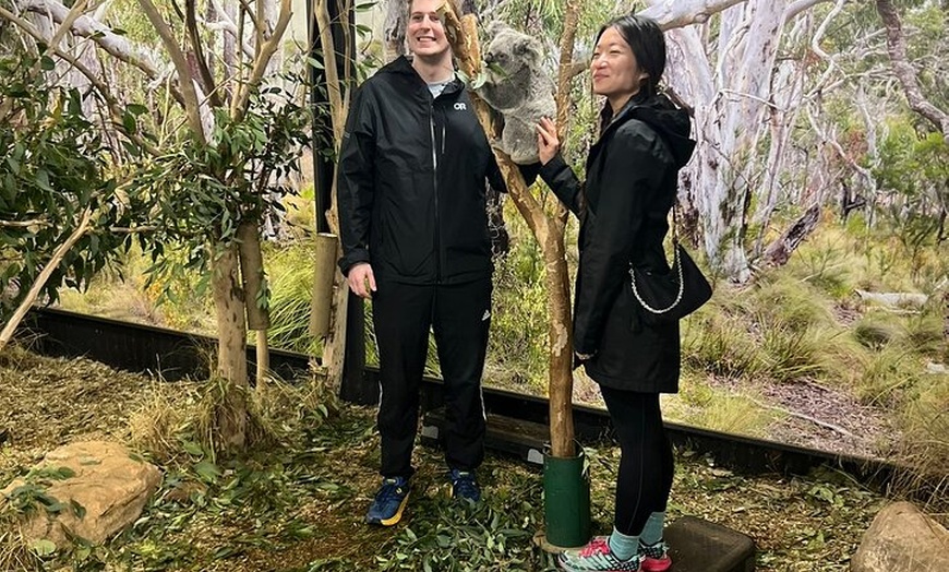 Image 6: Blue Mountains Main Attraction Private Daily Group Tours