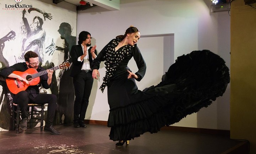 Image 9: Entrada para el espectáculo de flamenco en Los Gallos