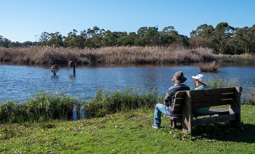 Image 15: Tour from Eden to Merimbula Wetlands Wildlife and Coastline