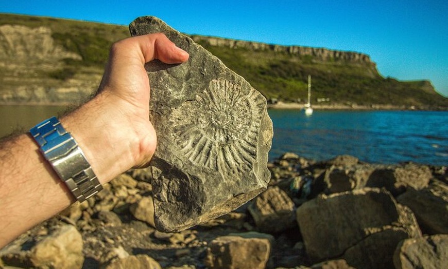 Image 6: Portland Shore Excursion to Jurassic Coast Highlights