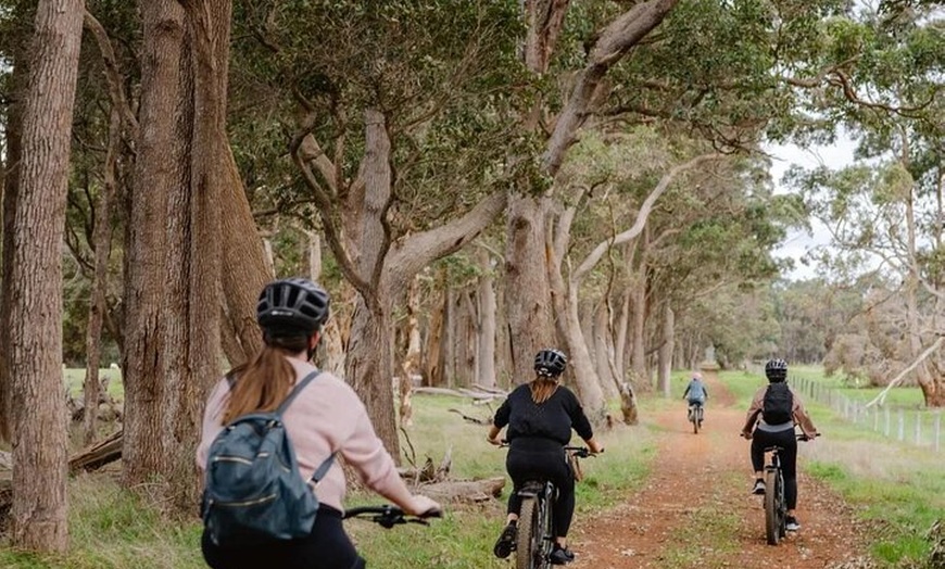 Image 2: Half Day Wadandi Track Scenic E-Bike Tour