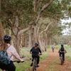 Image 2: Half Day Wadandi Track Scenic E-Bike Tour