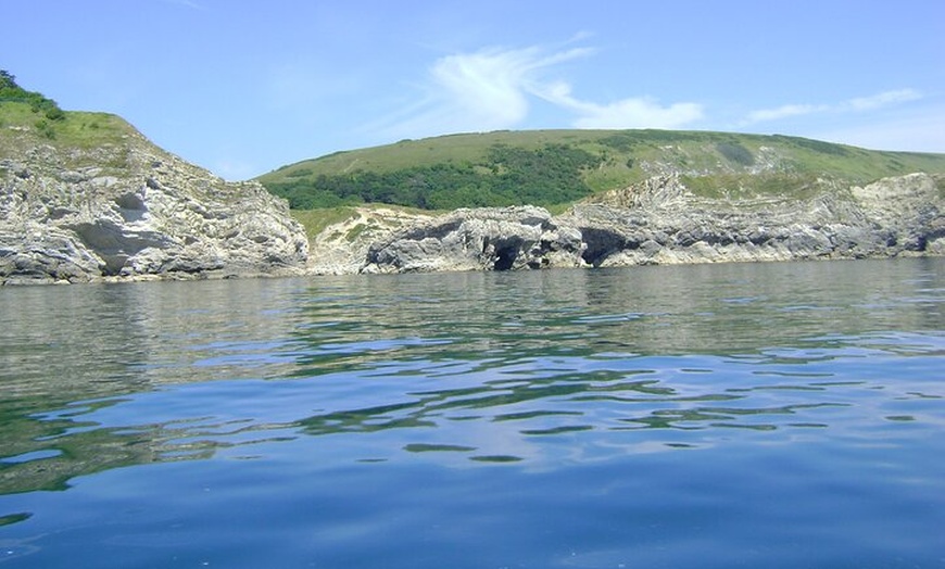 Image 4: Bespoke Boat Trips along the Jurassic Coast