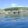 Image 4: Bespoke Boat Trips along the Jurassic Coast