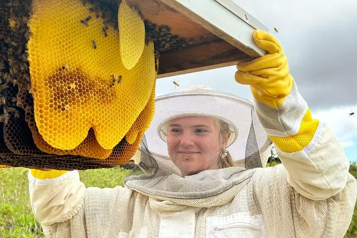 Honey Bee Adventure at the Maui Honey Bee Sanctuary