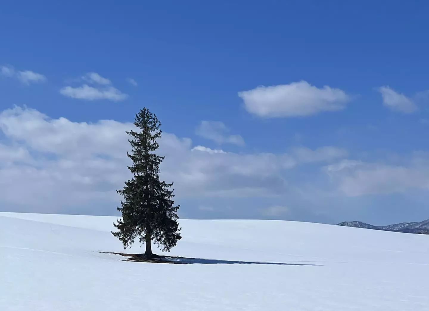 ✈ GIAPPONE | Da Sapporo a Tokyo - Alla scoperta di Hokkaido 3*, 13 ...