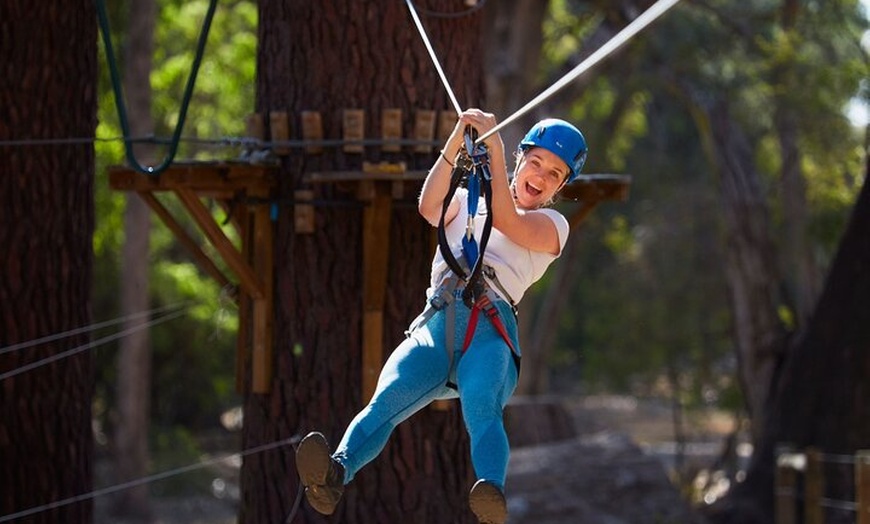 Image 1: Forest Adventures