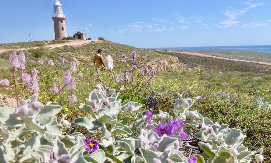 Image 8: Ningaloo In A Full day Hike and Snorkel Tour