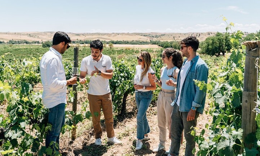 Image 1: Tour de la Ciudad de Toledo y Visita a Bodega con Cata de Vinos des...