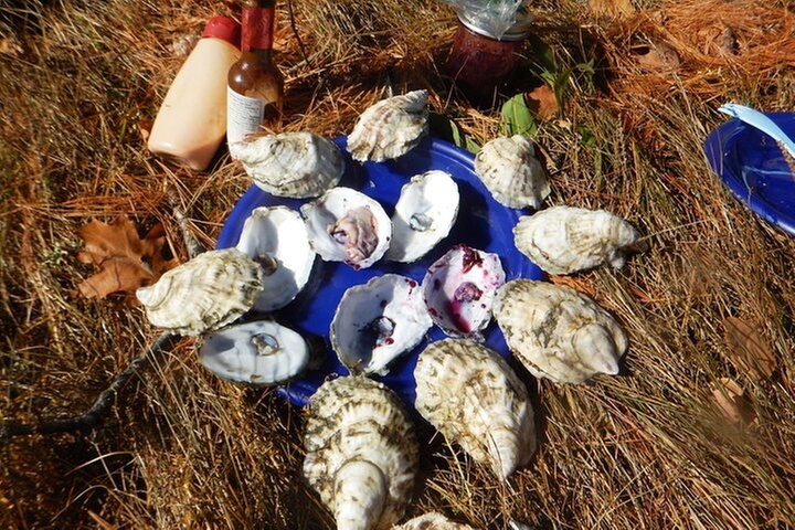 Oyster Farm & Complimentary Tasting Sea Kayak Tour in Casco Bay