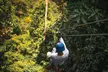 4-Hour Cancun Jungle Buggy Tour with Zipline Circuit & Cenote - Second Medium