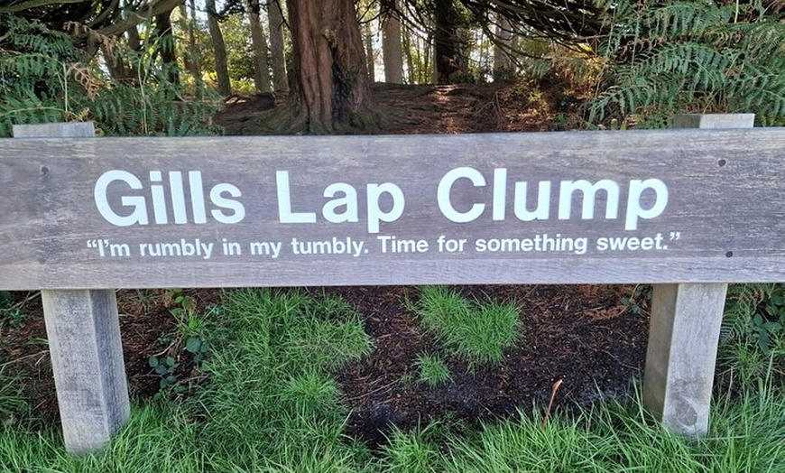 Image 2: From London Winnie the Poohs Hundred Acre Wood