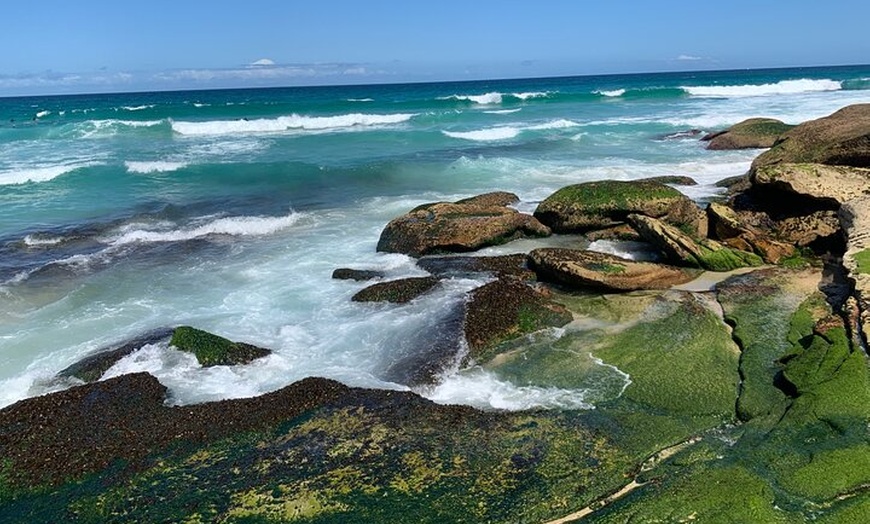 Image 8: Sydney Full Day Private City Harbour Coastal Adventure
