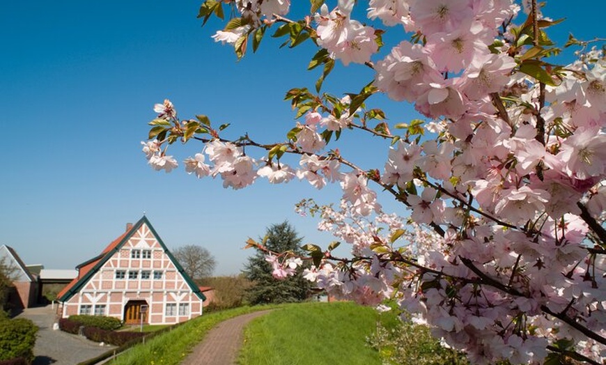 Image 9: Private Natur- und Landwirtschaftstour Altes Land ab Hamburg