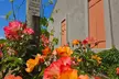 Serene and Romantic Wine Tasting Next to the Vines in Napa Valley - Second Medium