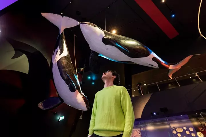 National Museum of Australia Daily Tours - Primary Image