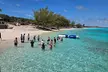 Swimming Pigs Encounter and Rose Island Beach Day Adventure - Second Medium