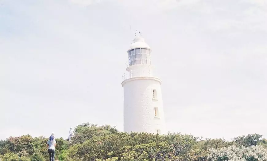 Image 4: 3 Day Tassie Tour Bundle Hobart, Wineglass Bay and Bruny Island