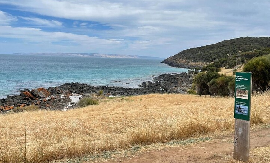 Image 2: Kangaroo Island Ultimate Adventure Tour departing Penneshaw
