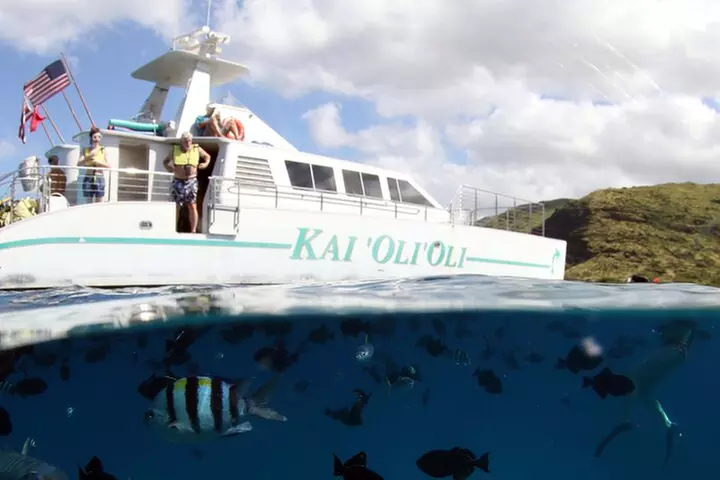 Oahu: Private Sunset Cruise and Dolphin Watch with Hot Buffett