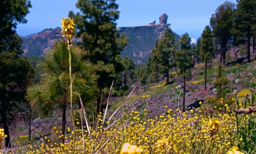 Image 16: Gran Canaria Premium Tour: Volcanes y Vino para cruceristas