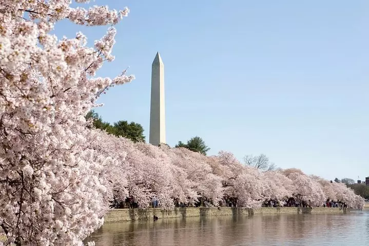 DC Presidential Sightseeing Bus Tour with U.S. Capitol Grounds