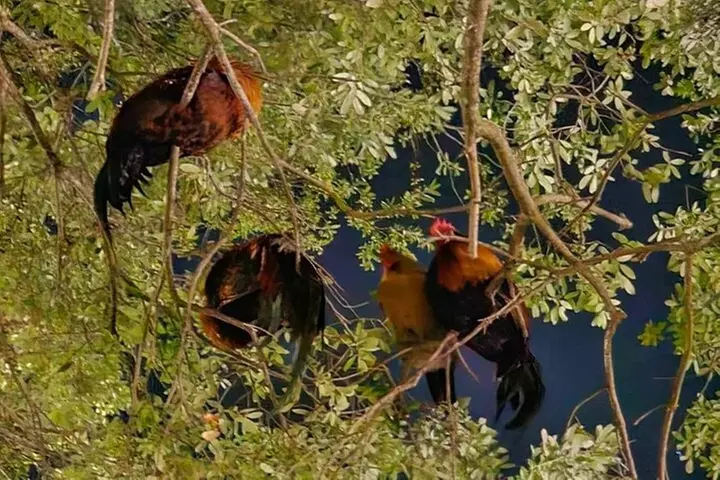 Haunted Tampa Booze and Boos Ghost Walking Tour - Ybor City